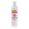 Palmer's Hair Success Frizz Treatment Conditioning Shampoo